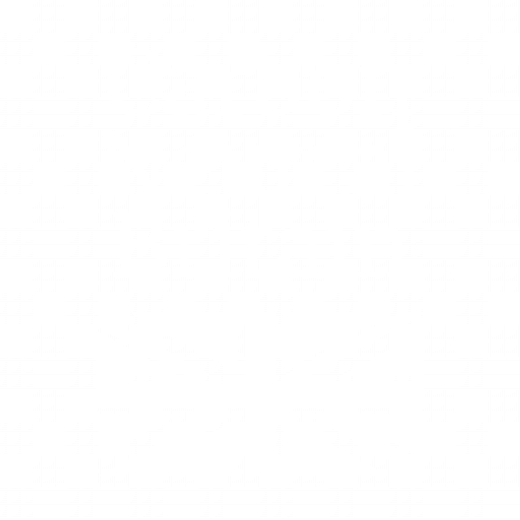 Carbon Neutral Drone Shows